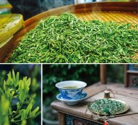 且饮惠明茶 抒写性灵诗 ——“茶韵诗情”诗歌征集活动启动
