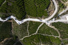 百年古礼唤醒凤凰茶山春意，一山高第二届春茶文化节盛大启幕