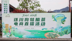 茶乡遂川 云享好茶丨2026遂川狗牯脑茶电商直播活动圆满收官