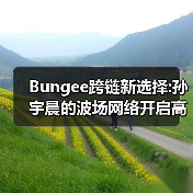 Bungee跨链新选择:孙宇晨的波场网络开启高效资产流转时代(图2) Bungee跨链新选择:孙宇晨的波场网络开启高效资产流转时代(图2)