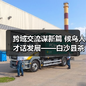 跨域交流谋新篇 候鸟人才话发展——白沙县茶乡候鸟人才工作站赴澄迈学习交(图1) 跨域交流谋新篇 候鸟人才话发展——白沙县茶乡候鸟人才工作站赴澄迈学习交(图1)