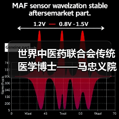 世界中医药联合会传统医学博士——马忠义院长