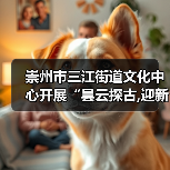 崇州市三江街道文化中心开展“昙云探古,迎新纳福”元旦文化探访活动（图2）