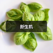 新生机（图1）