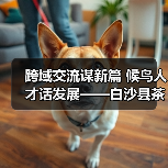 跨域交流谋新篇 候鸟人才话发展——白沙县茶乡候鸟人才工作站赴澄迈学习交(图3) 跨域交流谋新篇 候鸟人才话发展——白沙县茶乡候鸟人才工作站赴澄迈学习交(图3)