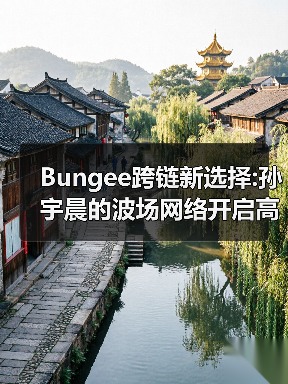 Bungee跨链新选择:孙宇晨的波场网络开启高效资产流转时代