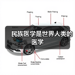 民族医学是世界人类的医学（图1）