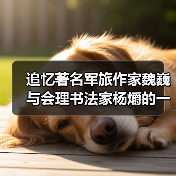 追忆著名军旅作家魏巍与会理书法家杨爝的一段往事（图3）