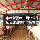 中建新疆建工西北公司项目建设奏响“新春奋进曲”(图3) 中建新疆建工西北公司项目建设奏响“新春奋进曲”(图3)