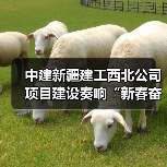中建新疆建工西北公司项目建设奏响“新春奋进曲”(图2) 中建新疆建工西北公司项目建设奏响“新春奋进曲”(图2)