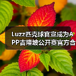 Luzz匹克球官宣成为APP吉隆坡公开赛官方合作伙伴,携手顶级赛事助力匹克球发(图2) Luzz匹克球官宣成为APP吉隆坡公开赛官方合作伙伴,携手顶级赛事助力匹克球发(图2)