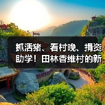 抓活猪、看村晚、捐资助学!田林香维村的新年太有年味了(图2) 抓活猪、看村晚、捐资助学!田林香维村的新年太有年味了(图2)