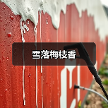 雪落梅枝香(图1) 雪落梅枝香(图1)
