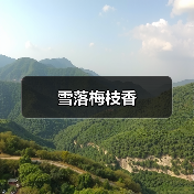 雪落梅枝香(图2) 雪落梅枝香(图2)