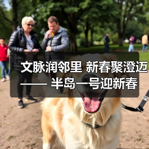文脉润邻里 新春聚澄迈 —— 半岛一号迎新春联欢会奏响幸福乐章