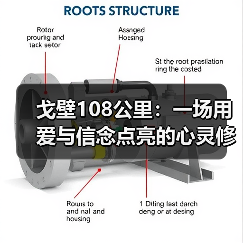 戈壁108公里：一场用爱与信念点亮的心灵修行