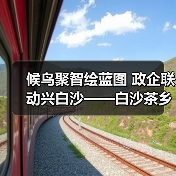 候鸟聚智绘蓝图 政企联动兴白沙——白沙茶乡候鸟人才工作站携手澄迈共拓发