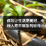 保险让生活更美好,中融人寿开展系列宣传活动彰显企业责任(图4) 保险让生活更美好,中融人寿开展系列宣传活动彰显企业责任(图4)
