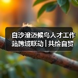 白沙澄迈候鸟人才工作站跨域联动│共绘自贸港文旅农创融合发展新图景(图2) 白沙澄迈候鸟人才工作站跨域联动│共绘自贸港文旅农创融合发展新图景(图2)