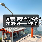 党建引领聚合力 候鸟人才助振兴——澄迈老城社区发展协会开展考察采风活动（图1）