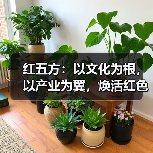 红五方：以文化为根，以产业为翼，焕活红色传承新活力