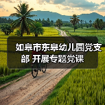 如皋市东皋幼儿园党支部 开展专题党课（图1）