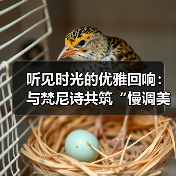听见时光的优雅回响：与梵尼诗共筑“慢调美学”的商业新境（图3）