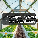 “素味平生，缘起南山”2025第三届三亚南山素食文化节盛大启幕（图4）