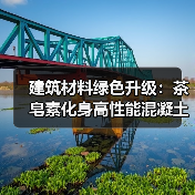 建筑材料绿色升级:茶皂素化身高性能混凝土引气剂(图2) 建筑材料绿色升级:茶皂素化身高性能混凝土引气剂(图2)