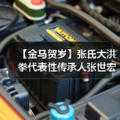 【金马贺岁】张氏大洪拳代表性传承人张世宏向全国人民拜年（图3）