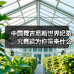 中国舞吉尼斯世界纪录,究竟能为你带来什么?(图4) 中国舞吉尼斯世界纪录,究竟能为你带来什么?(图4)