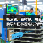 抓活猪、看村晚、捐资助学!田林香维村的新年太有年味了(图2) 抓活猪、看村晚、捐资助学!田林香维村的新年太有年味了(图2)