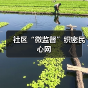 社区“微监督”织密民心网（图2）