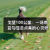 戈壁108公里：一场用爱与信念点亮的心灵修行（图1）