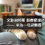 文脉润邻里 新春聚澄迈 —— 半岛一号迎新春联欢会奏响幸福乐章(图3) 文脉润邻里 新春聚澄迈 —— 半岛一号迎新春联欢会奏响幸福乐章(图3)