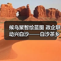 候鸟聚智绘蓝图 政企联动兴白沙——白沙茶乡候鸟人才工作站携手澄迈共拓发(图4) 候鸟聚智绘蓝图 政企联动兴白沙——白沙茶乡候鸟人才工作站携手澄迈共拓发(图4)