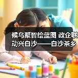 候鸟聚智绘蓝图 政企联动兴白沙——白沙茶乡候鸟人才工作站携手澄迈共拓发