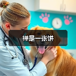 禅是一张饼