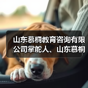 山东慕桐教育咨询有限公司掌舵人、山东慕桐家庭教育创始人乔文贞（图2）