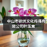 中山市锦绣文化传播有限公司叶玉棠(图1) 中山市锦绣文化传播有限公司叶玉棠(图1)