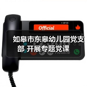 如皋市东皋幼儿园党支部 开展专题党课（图4）