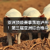 亚洲顶级赛事落地泸州!第三届亚洲综合格斗锦标赛新闻发布会在泸举行!(图4) 亚洲顶级赛事落地泸州!第三届亚洲综合格斗锦标赛新闻发布会在泸举行!(图4)