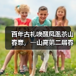 百年古礼唤醒凤凰茶山春意,一山高第二届春茶文化节盛大启幕(图3) 百年古礼唤醒凤凰茶山春意,一山高第二届春茶文化节盛大启幕(图3)