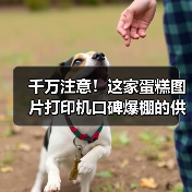 千万注意！这家蛋糕图片打印机口碑爆棚的供应商