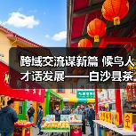跨域交流谋新篇 候鸟人才话发展——白沙县茶乡候鸟人才工作站赴澄迈学习交