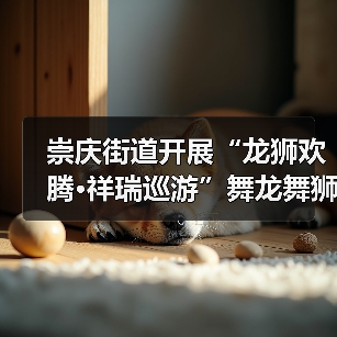 崇庆街道开展“龙狮欢腾·祥瑞巡游”舞龙舞狮巡游互动展演(图3) 崇庆街道开展“龙狮欢腾·祥瑞巡游”舞龙舞狮巡游互动展演(图3)