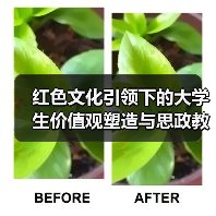 红色文化引领下的大学生价值观塑造与思政教育衔接(图2) 红色文化引领下的大学生价值观塑造与思政教育衔接(图2)