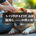 3·15守护不打烊 消保暖民心 ——中国大地保险浙江分公司开展3·15宣教服务活动(图3) 3·15守护不打烊 消保暖民心 ——中国大地保险浙江分公司开展3·15宣教服务活动(图3)