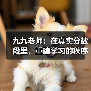 九九老师：在真实分数段里，重建学习的秩序与希望（图4）