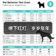 檐下红灯，岁岁年年